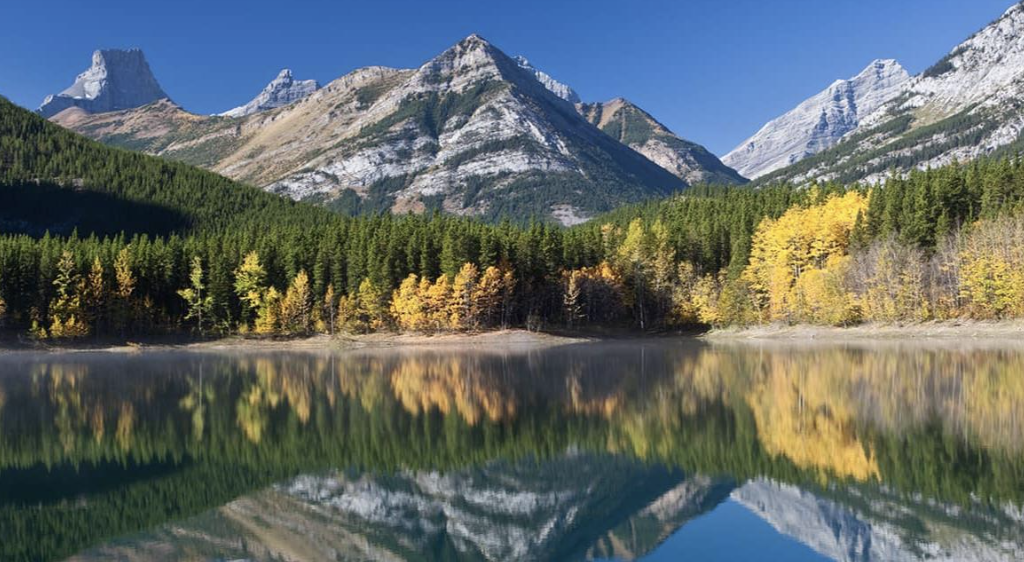 capture d’écran 2026 01 08 à 16.51.52